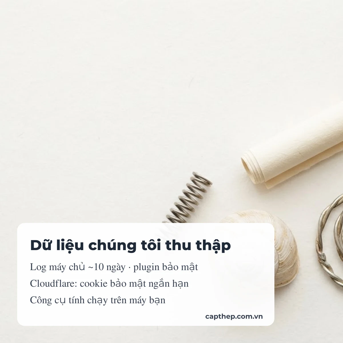 Dữ liệu Cáp Thép thu thập: log máy chủ ngắn hạn, plugin bảo mật, Cloudflare
